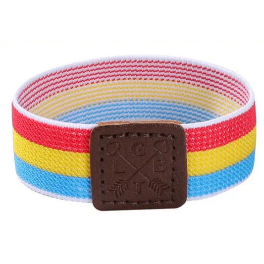 Pansexual Elastic Bracelet - Seasonal Surprises